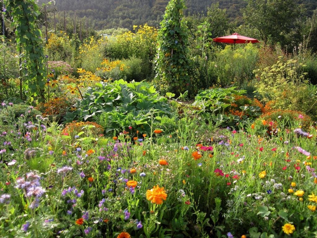 gemuesepracht-im-bauerngarten