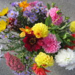 herbststrauss-in-leuchtenden-farben