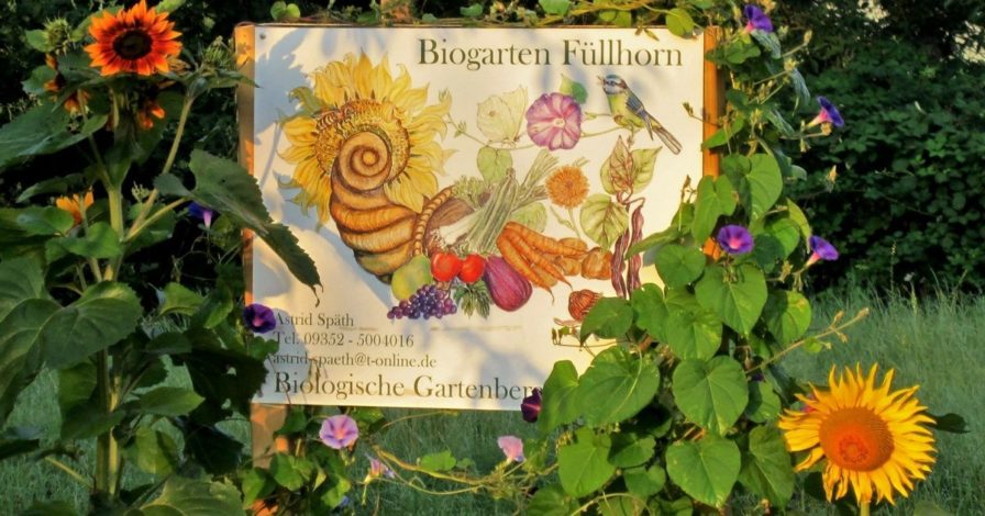 Biogarten Füllhorn (11)