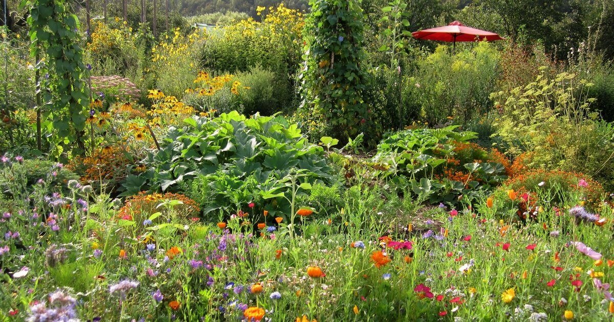 Biogarten Füllhorn Gärtnern mit Effektiven