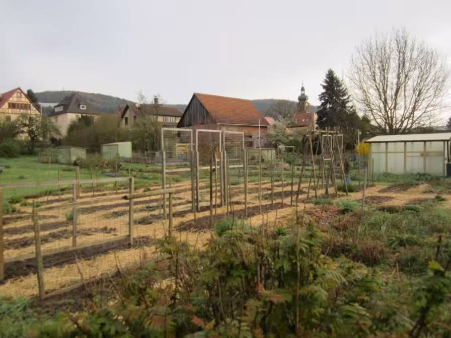 Biogarten mit Strohwegen 