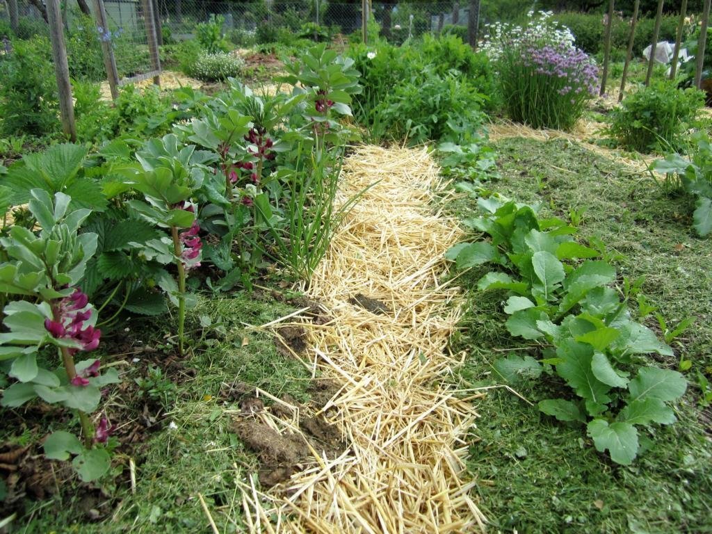 Eine Gartenarbeit im April: Das Mulchen