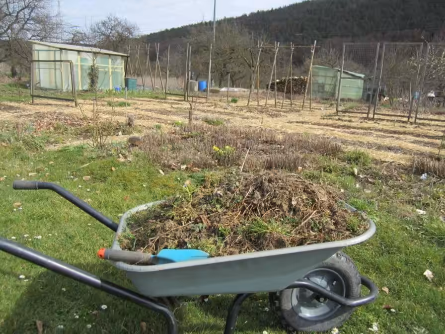 Mulchschicht und Gräser in der Schubkarre