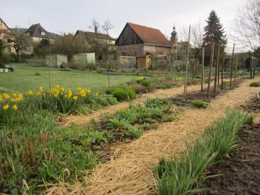 Strohwege im Biogarten Füllhorn